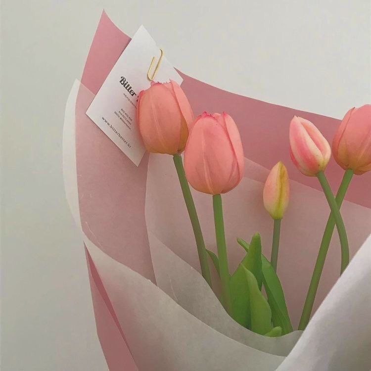 رغد الزواهرة